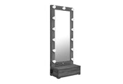 Lexi Grey Tall Mirror with Drawer and Speakers