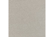 D1321 Light Grey Dining Chair