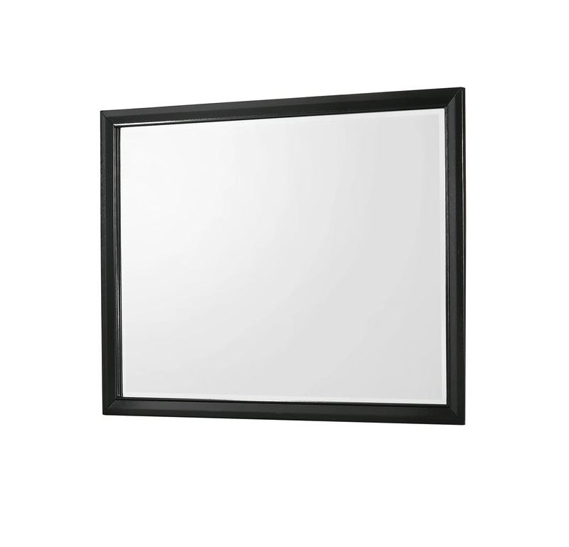 Crown Mark Micah Mirror in Black image